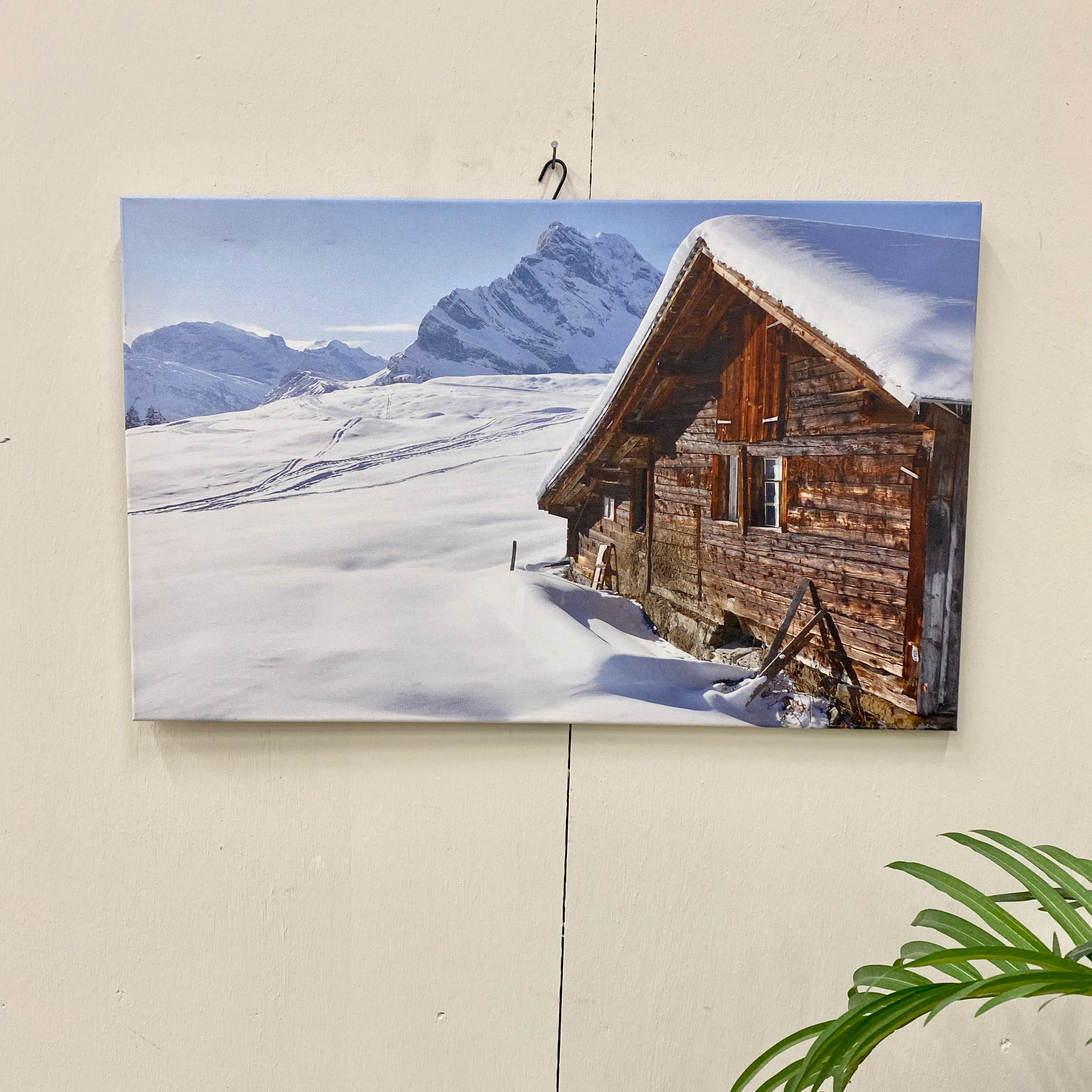Vorschaubild 1