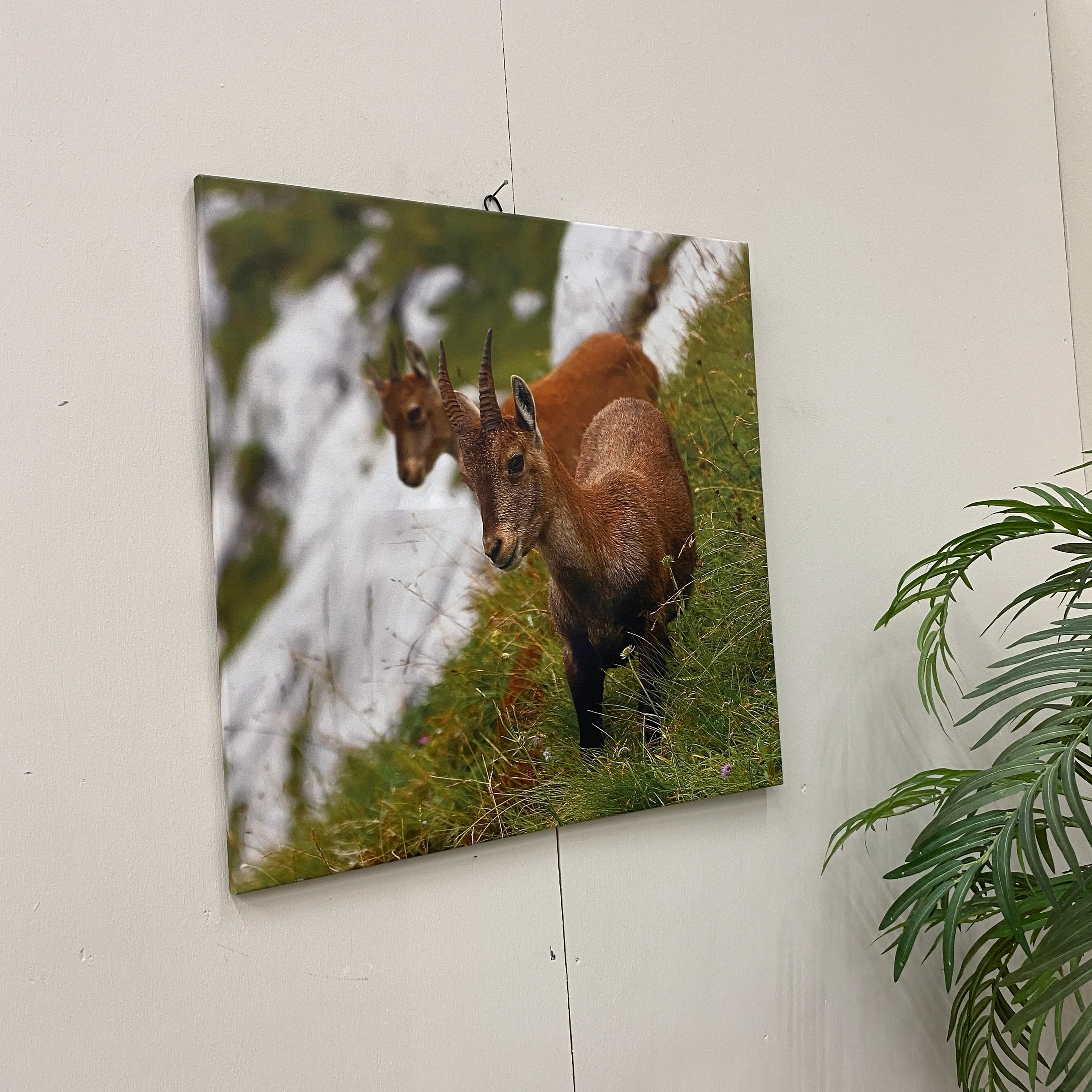 Vorschaubild 2